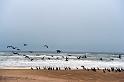20090605_154916 D3 X1
